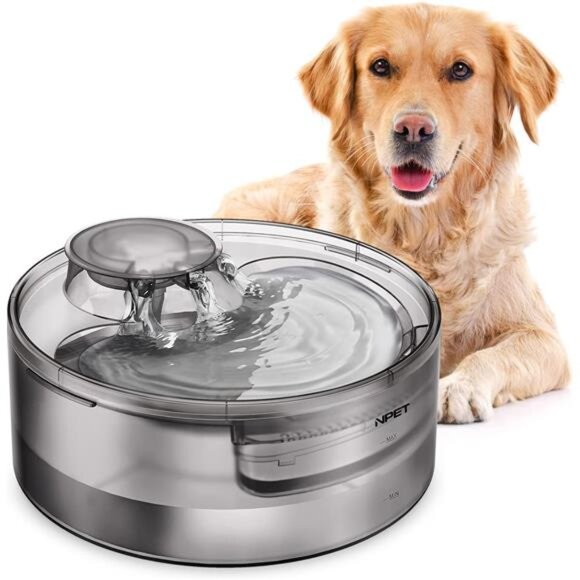 Dog Water Fountain, 170oz/1.3Gallon/5L Large Automatic Pet Water Dispenser - Picture 1 of 7